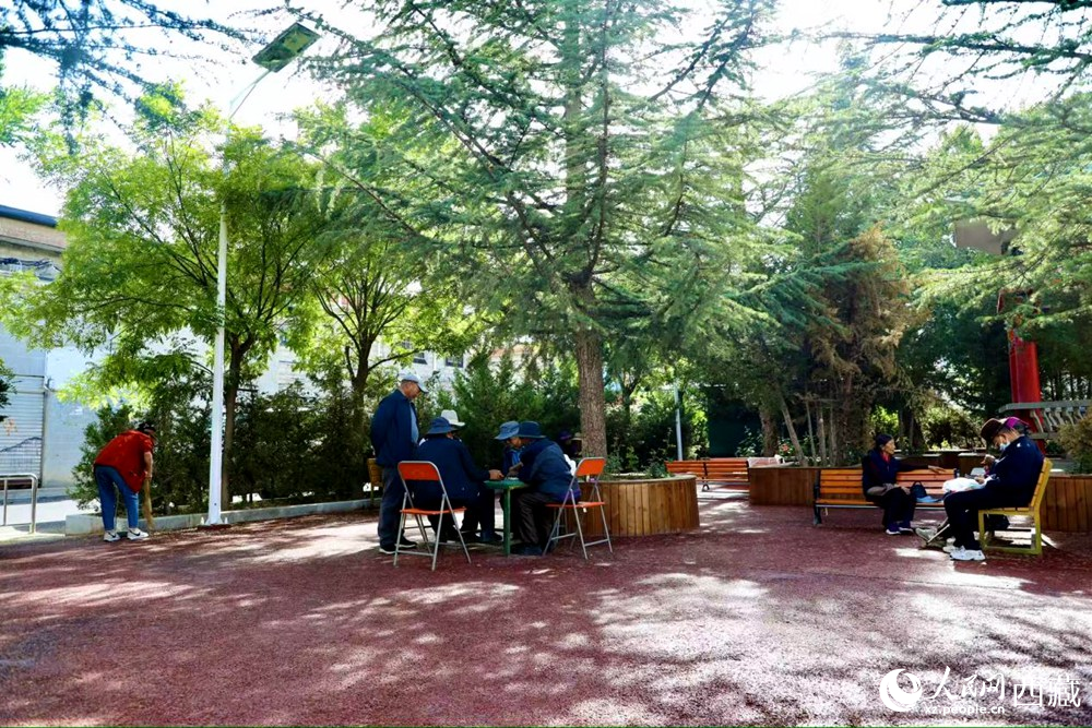 老人們?cè)诰G樹成蔭的“社區(qū)會(huì)客廳”中對(duì)弈休憩。人民網(wǎng)記者 次仁羅布攝