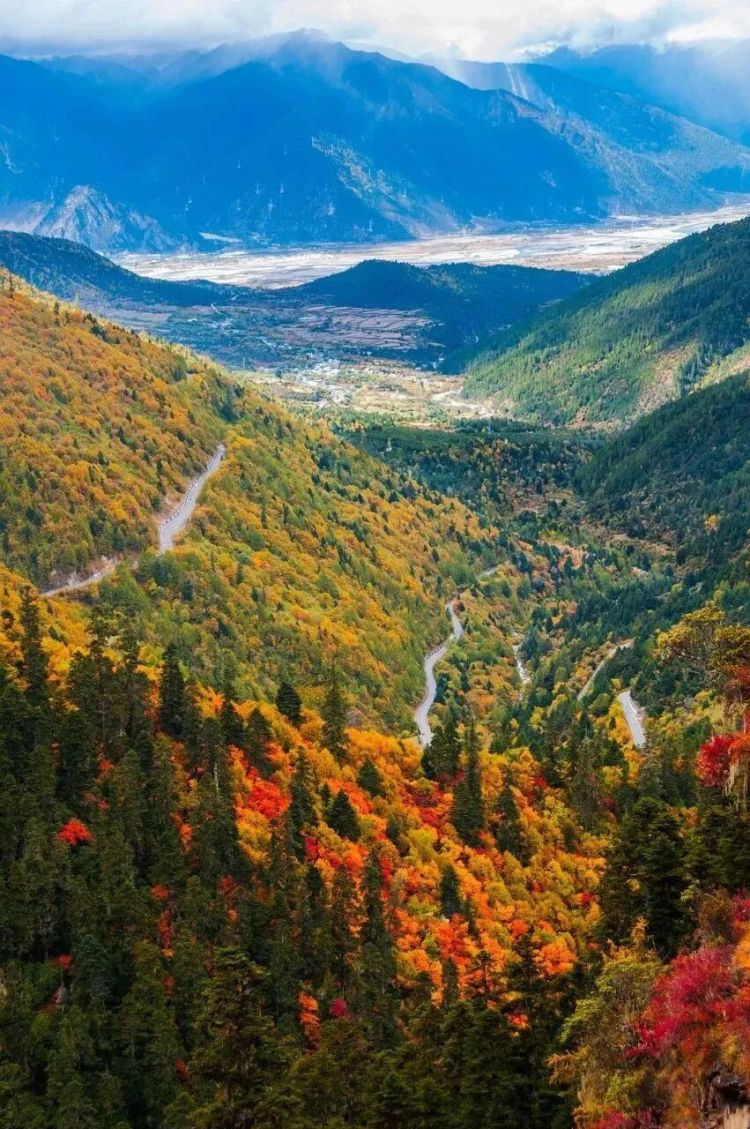 懂西藏的人，一定不會錯過林芝的秋天