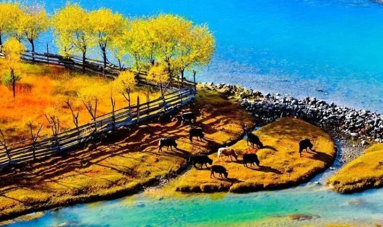 懂西藏的人，一定不會錯過林芝的秋天