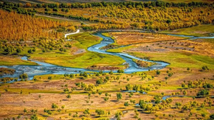 懂西藏的人，一定不會錯過林芝的秋天
