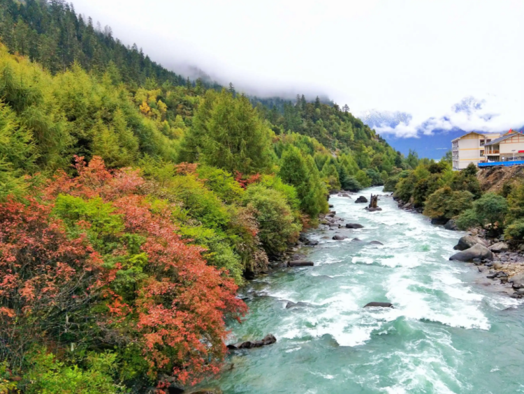 懂西藏的人，一定不會錯過林芝的秋天