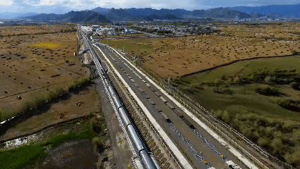 青稞“蛻變”，牦牛“出圈”！看西藏農(nóng)牧民的“十四五”豐收答卷