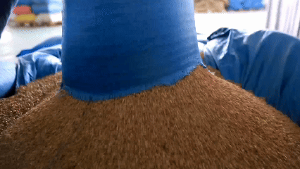 青稞“蛻變”，牦?！俺鋈Α保】次鞑剞r(nóng)牧民的“十四五”豐收答卷