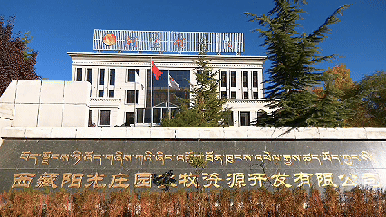 青稞“蛻變”，牦牛“出圈”！看西藏農(nóng)牧民的“十四五”豐收答卷