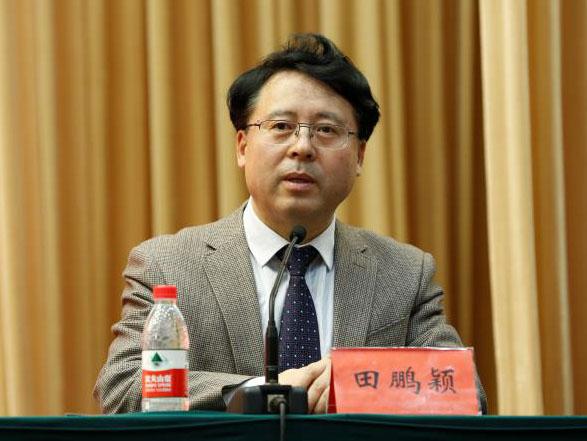 田鵬穎：投入其中、樂在其中、安身其中