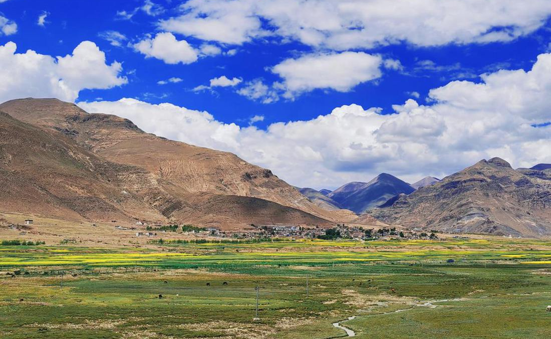 羌塘草原上的美好圖景。人民網(wǎng) 李海霞攝