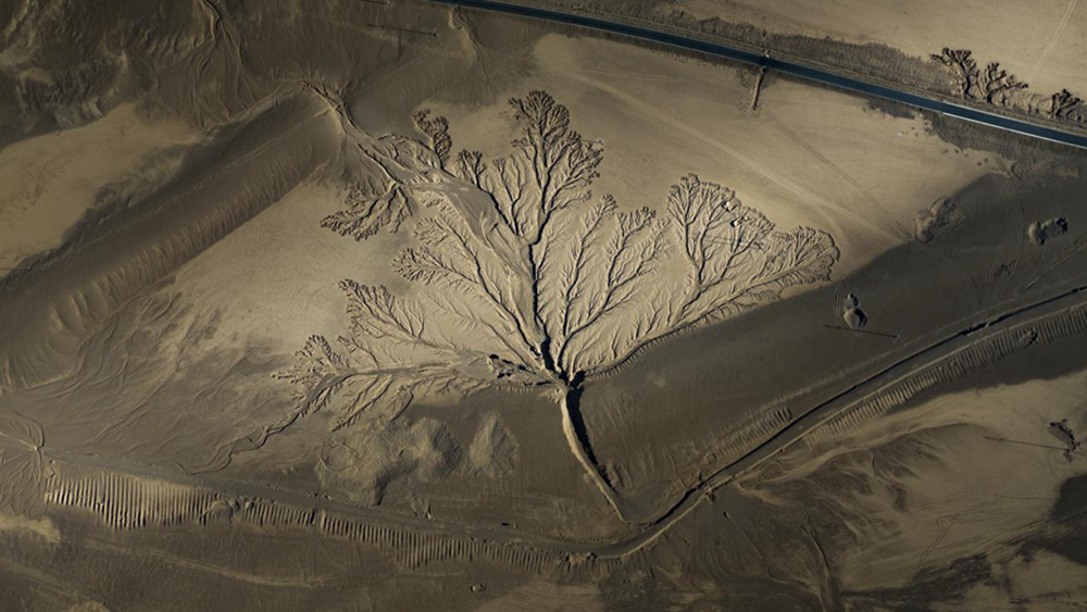 無人機視角下的西藏阿里地區(qū)改則縣“大地之樹”景觀。尼瑪多吉攝