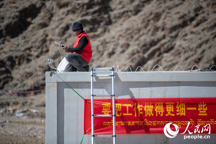 長(zhǎng)所鄉(xiāng)森嘎村村民的牲畜在食用新鮮飼草。人民網(wǎng)記者 郝潔攝