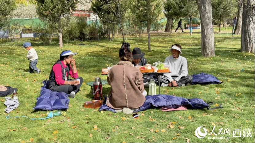 圖為市民在公園內(nèi)聚會(huì)。人民網(wǎng)記者 次仁羅布攝