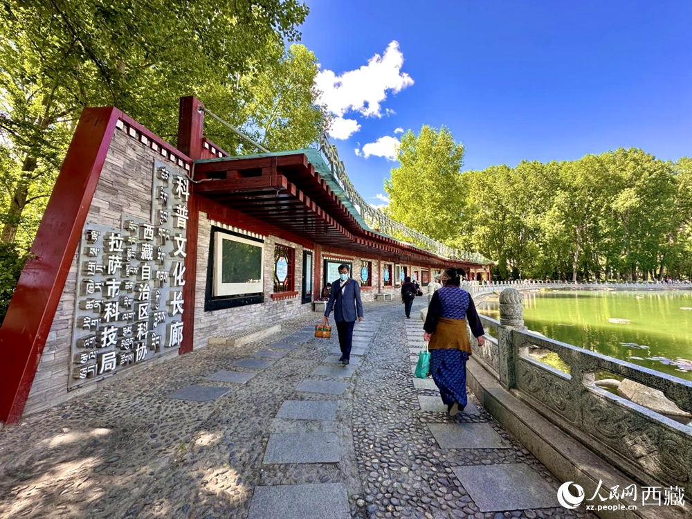 公園內(nèi)的科普文化長(zhǎng)廊。
