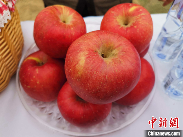 延安蘋(píng)果。<a target='_blank'  ><p  align=
