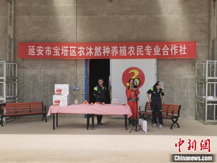 來(lái)源：柳林鎮(zhèn)果技園供圖。