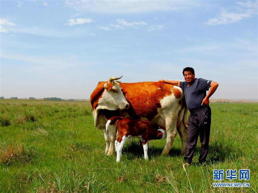 （奮斗百年路　啟航新征程·“七一勛章”獲得者·圖文互動(dòng)）（4）“草原之子”廷·巴特爾：讓草原綠起來(lái)，幫牧民富起來(lái)
