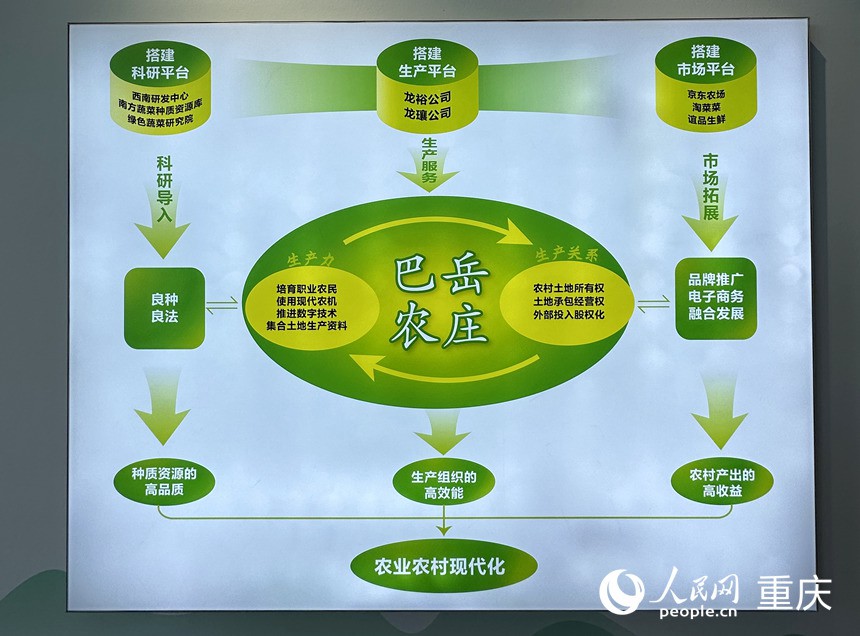 “巴岳農(nóng)莊”運作示意圖。人民網(wǎng)記者 劉政寧攝