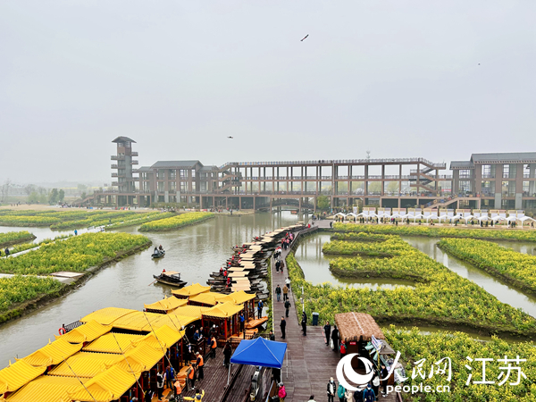 興化千垛菜花旅游節(jié)期間，游客前來(lái)打卡。人民網(wǎng) 王丹丹攝