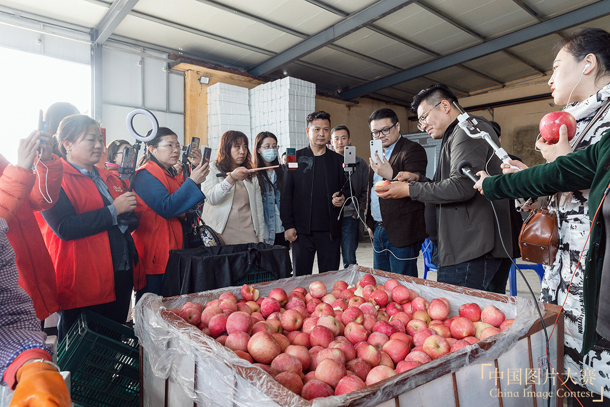 公益直播 愛心助農致富路